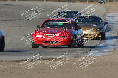 media/Nov-16-2024-CalClub SCCA (Sat) [[641f3b2761]]/Group 4/Race (Outside Grapevine)/